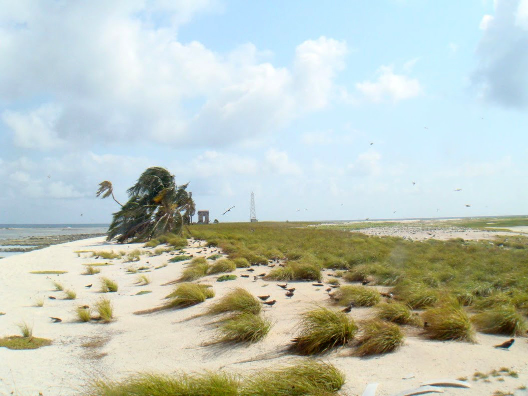 Пляж в атолле Рокас (Atol das Rocas), Бразилия – фотографии Бразилии