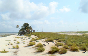 Пляж в атолле Рокас (Atol das Rocas), Бразилия – фотографии Бразилии