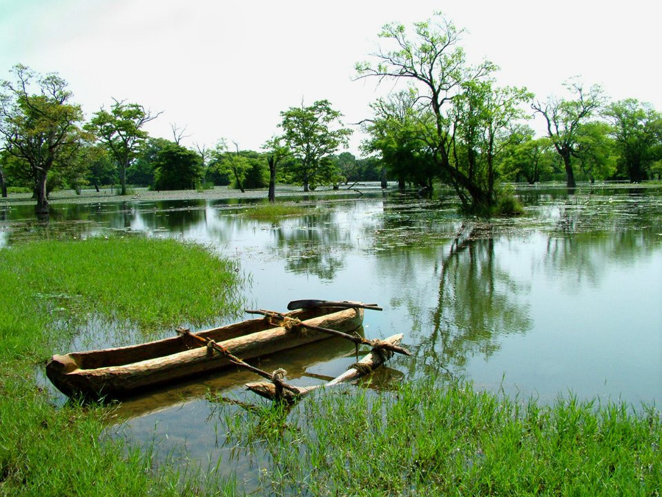 Кандалама, Шри-Ланка, фото № 51302 – фотографии Шри-Ланки