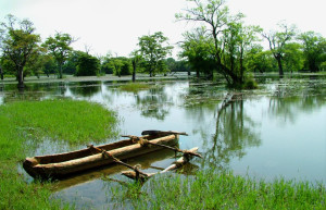 Кандалама, Шри-Ланка, фото № 51302 – фотографии Шри-Ланки