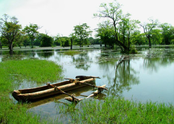 Кандалама, Шри-Ланка, фото № 51302 – фотографии Шри-Ланки