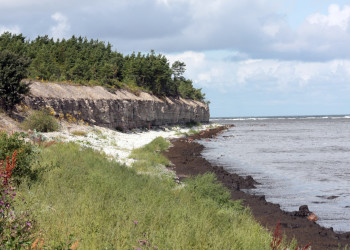 Сааремаа (Saaremaa) – крупнейший остров в Эстонии – фотографии Эстонии