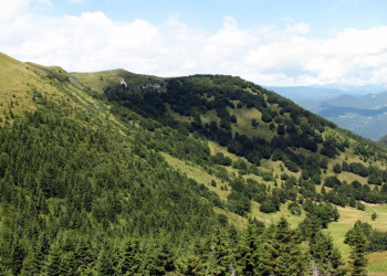 Соришка Планина, Словения, фото № 57552 – фотографии Словении