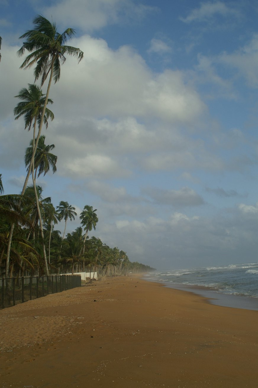 Ваддува, Шри-Ланка, фото № 50768 – фотографии Шри-Ланки