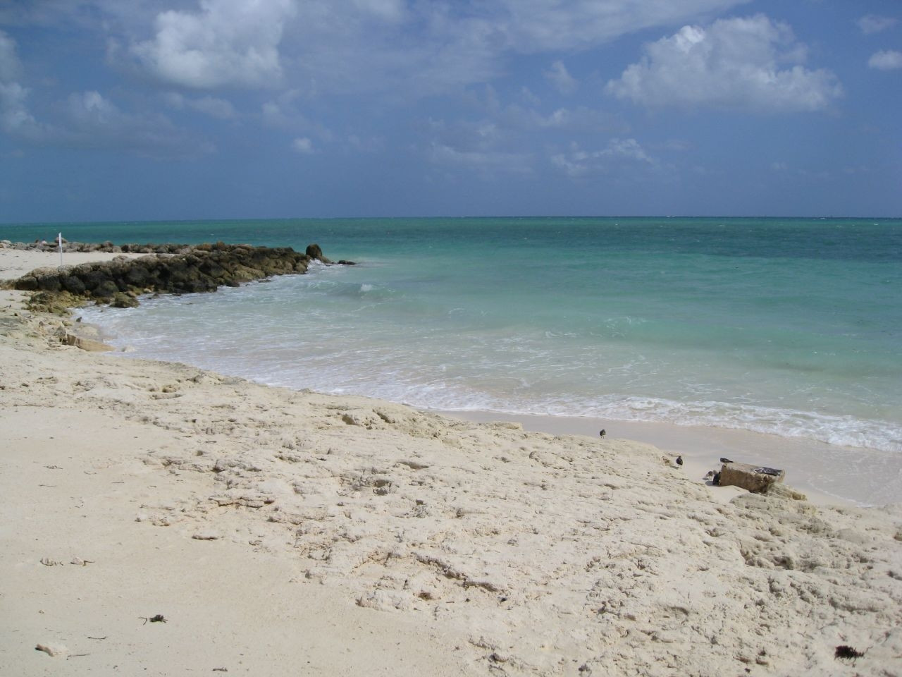 Берега в Гранд Багама, Багамские острова. Фото 4 – фотографии Багамских островов