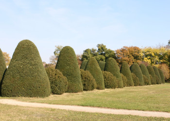 Дворец Эстерхази. Венгрия. Фото 11 – фотографии Венгрии