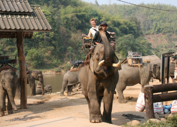Слоны в Чианг-Рай, Тайланд. Фото 1 – фотографии Таиланда