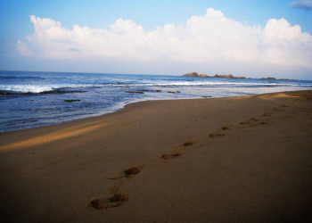 Хиккадува, Шри-Ланка, фото № 52564 – фотографии Шри-Ланки