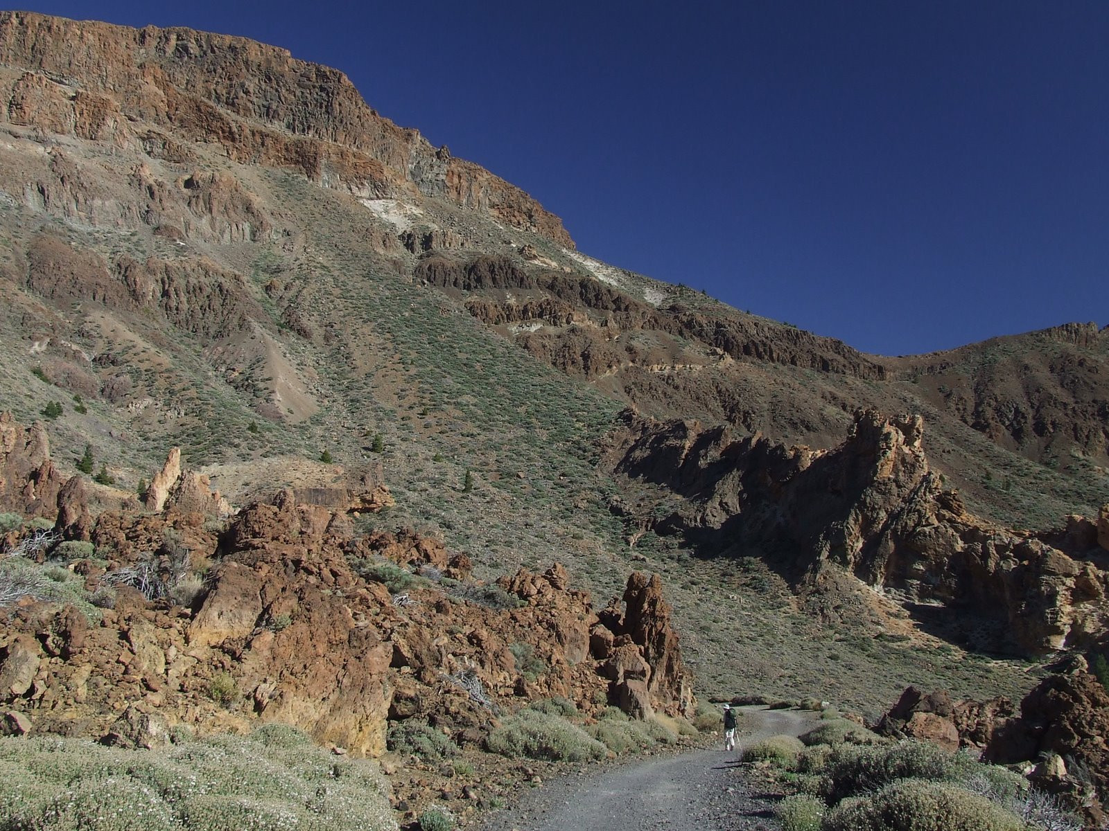 Тейде Национальный парк, Тенерифе остров, Канарские острова, фото № 33899 – фотографии Канарских островов