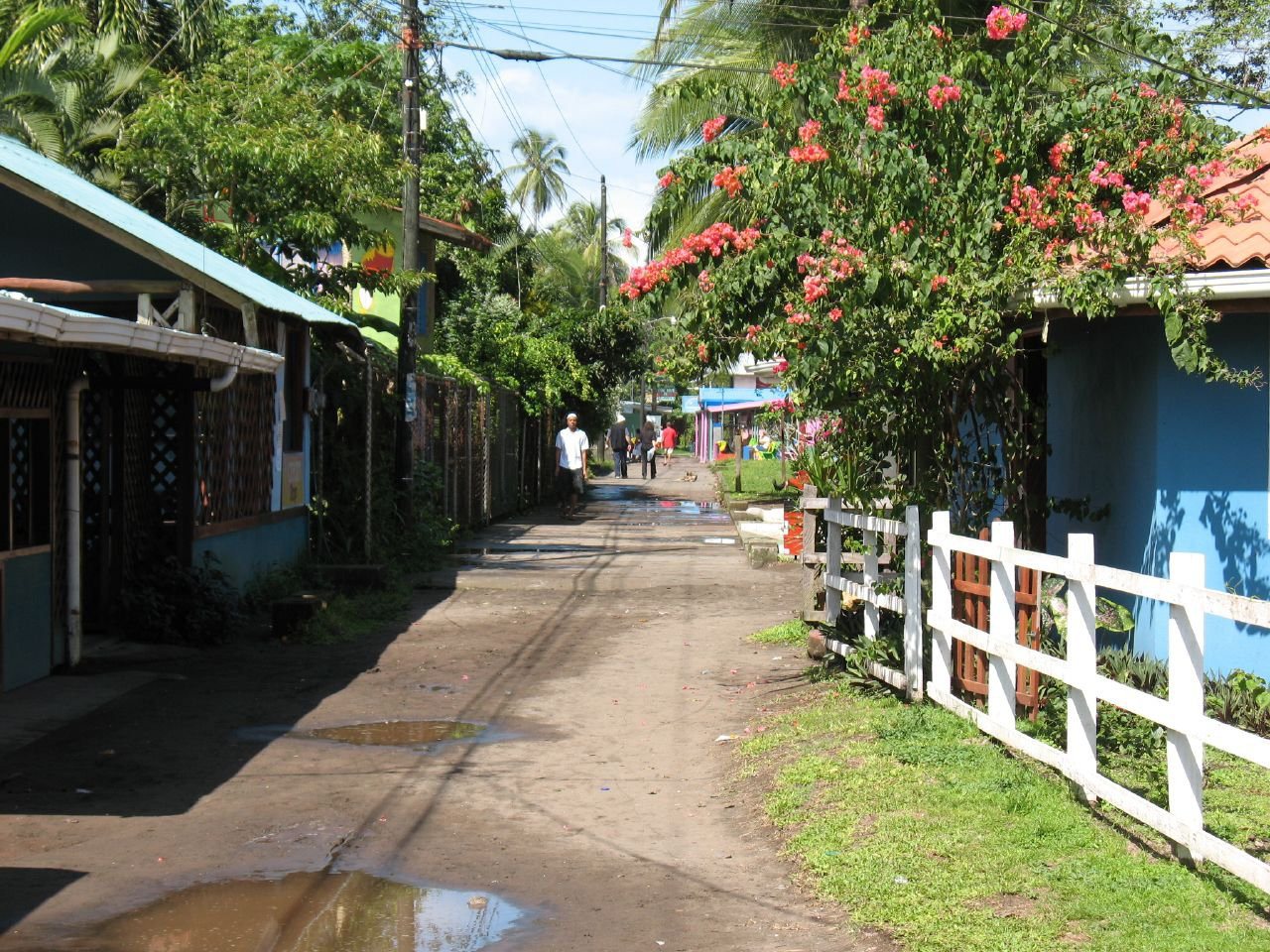 Тортугеро, Лимон провинция, Коста-Рика, фото № 40290 – фотографии Коста-Рики