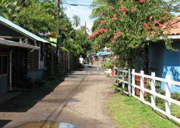 Тортугеро, Лимон провинция, Коста-Рика, фото № 40290 – фотографии Коста-Рики