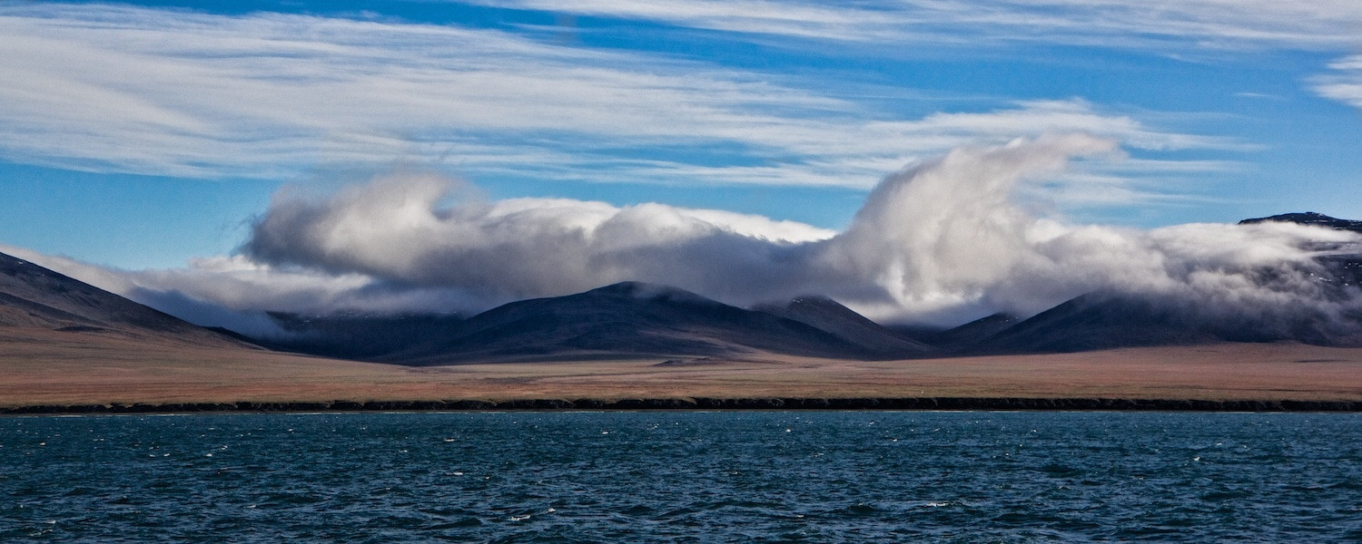 Заповедник остров Врангеля, Чукотка, Россия – фотографии России
