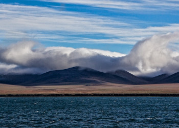 Заповедник остров Врангеля, Чукотка, Россия – фотографии России