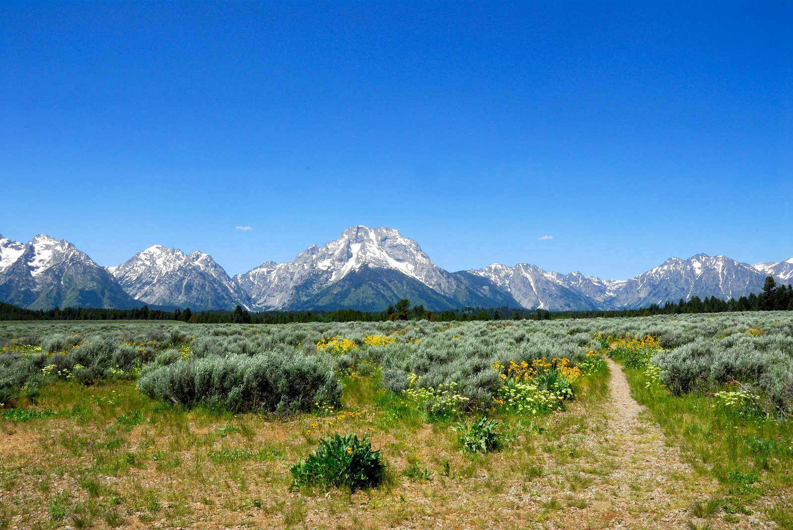 Национальный парк Йеллоустон. Фото 6 – фотографии США