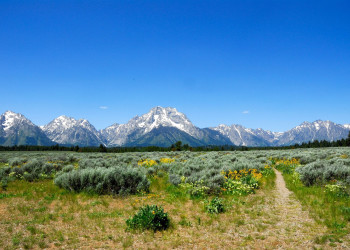 Национальный парк Йеллоустон. Фото 6 – фотографии США