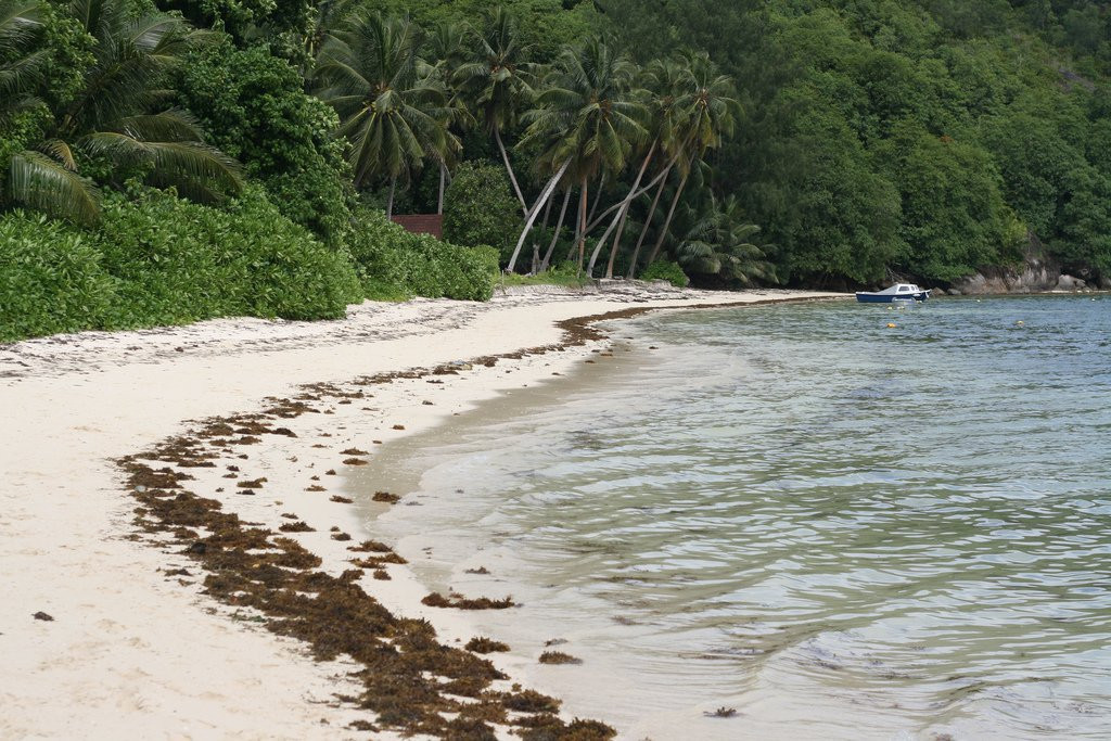 Пляж на острове Серф, Сейшелы. Фото 5 – фотографии Сейшельских островов