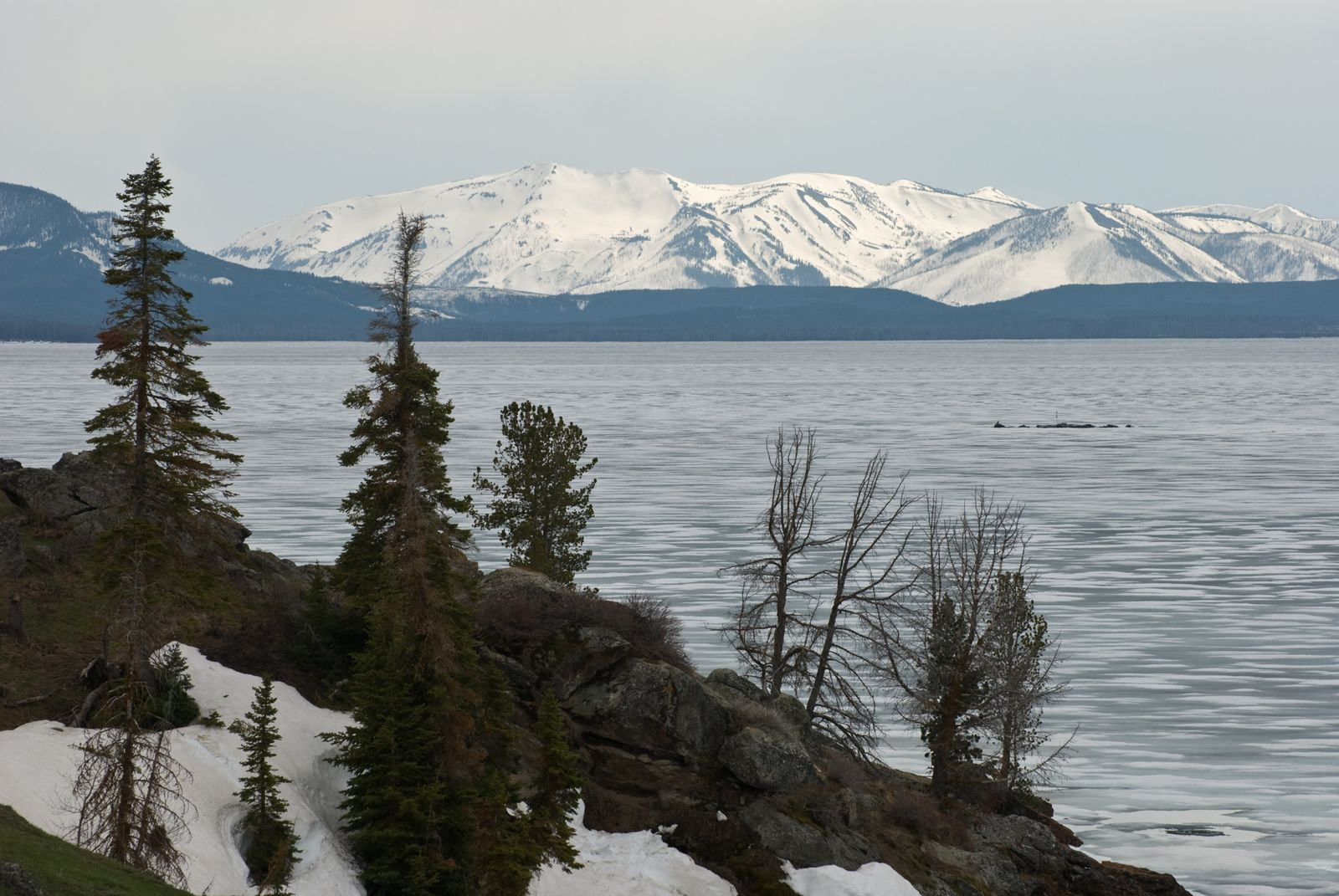Йеллоустоун Национальный Парк, Вайоминг штат, США, фото № 67733 – фотографии США