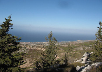 Кипр, фото № 754 – фотографии Кипра