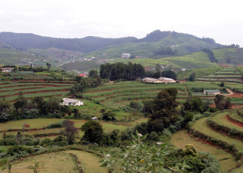 Нувара Элия, Шри-Ланка, фото № 52038 – фотографии Шри-Ланки