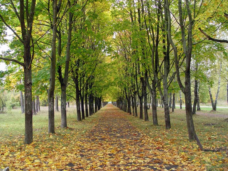 Клинцы – фотографии России