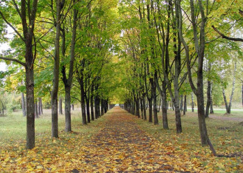 Клинцы – фотографии России