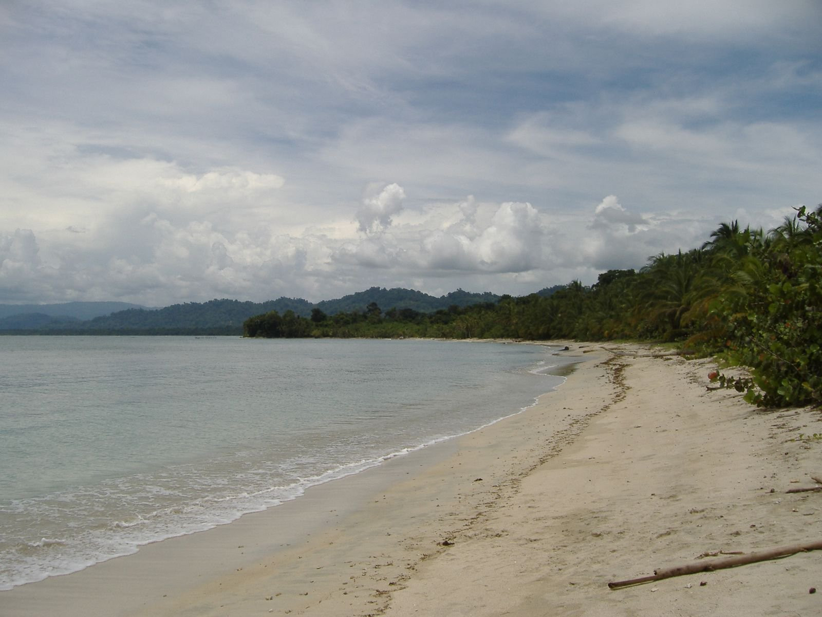 Кауита Национальный Парк, Лимон провинция, Коста-Рика, фото № 40085 – фотографии Коста-Рики