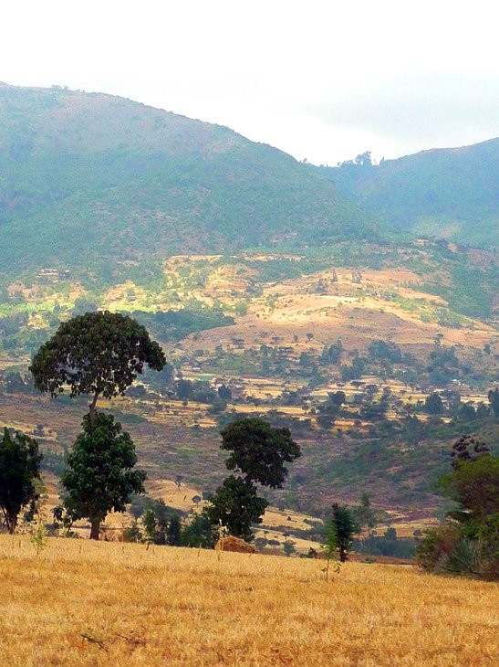 Просторы – фотографии Эфиопии