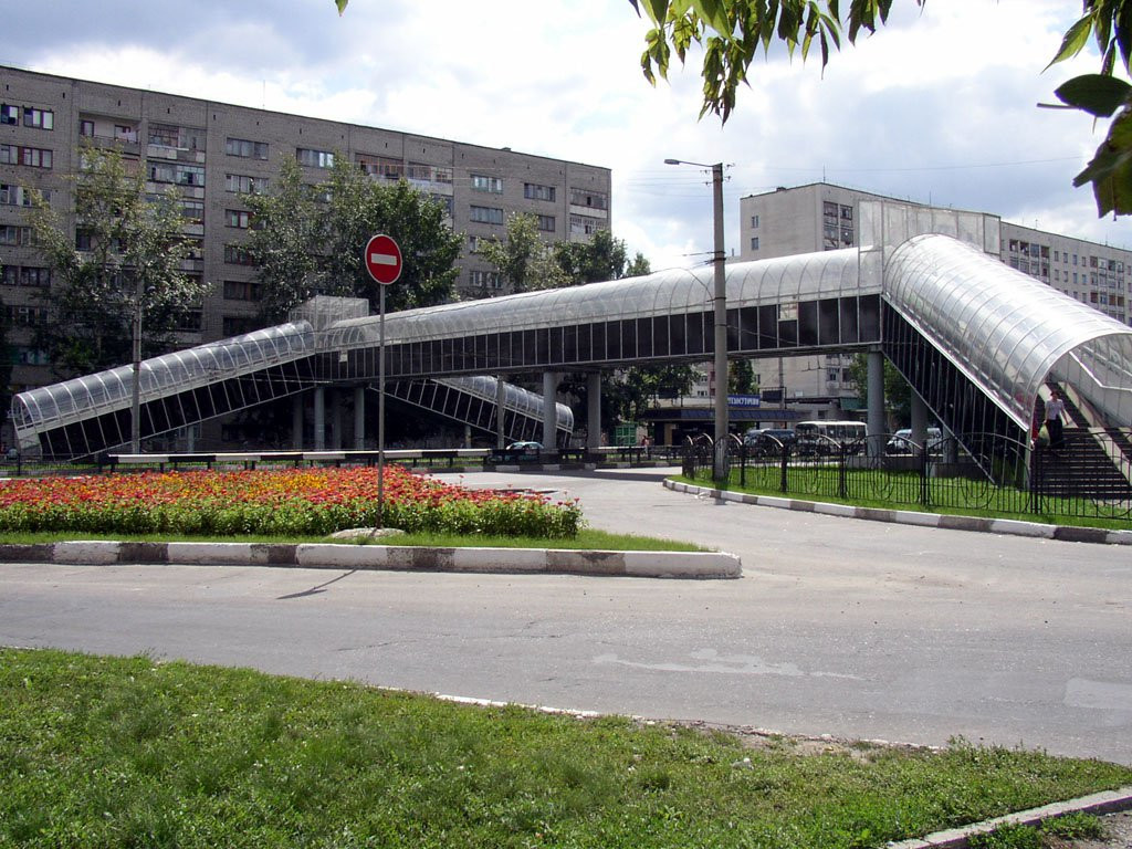 Улица в Старом Осколе, Россия. Фото 1 – фотографии России