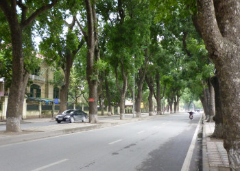 Тенистые улицы Ханоя – фотографии Вьетнама