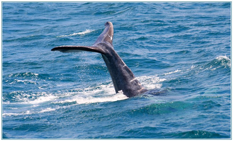 Самана, Доминикана, фото № 30662 – фотографии Доминиканы