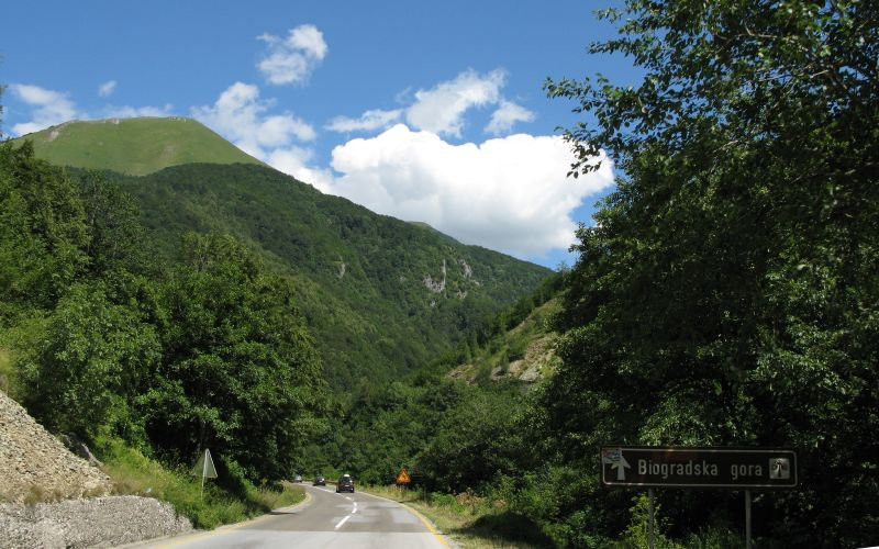 Дорога Национального парка, Черногория – фотографии Черногории