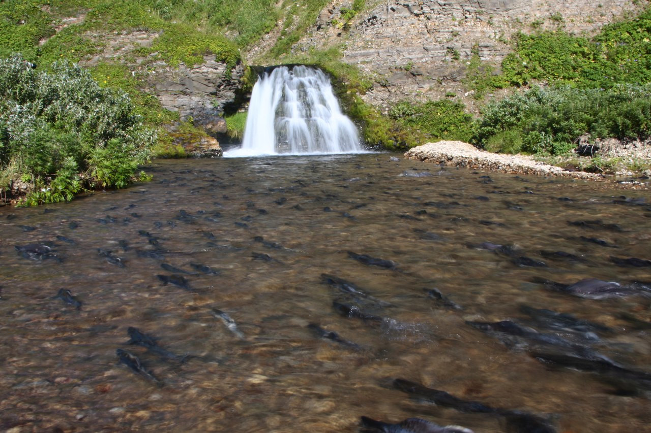 Федоскинский водопад, остров Беринга, Россия – фотографии России