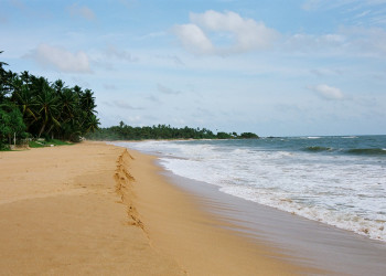 Индурува, Шри-Ланка, фото № 51164 – фотографии Шри-Ланки