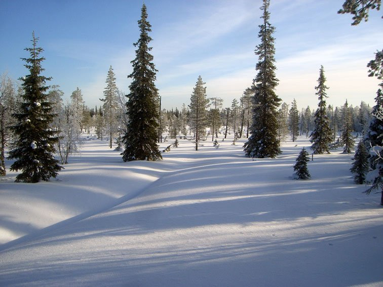 Луосто, Финляндия, фото № 74676 – фотографии Финляндии