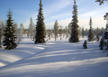 Луосто, Финляндия, фото № 74676 – фотографии Финляндии