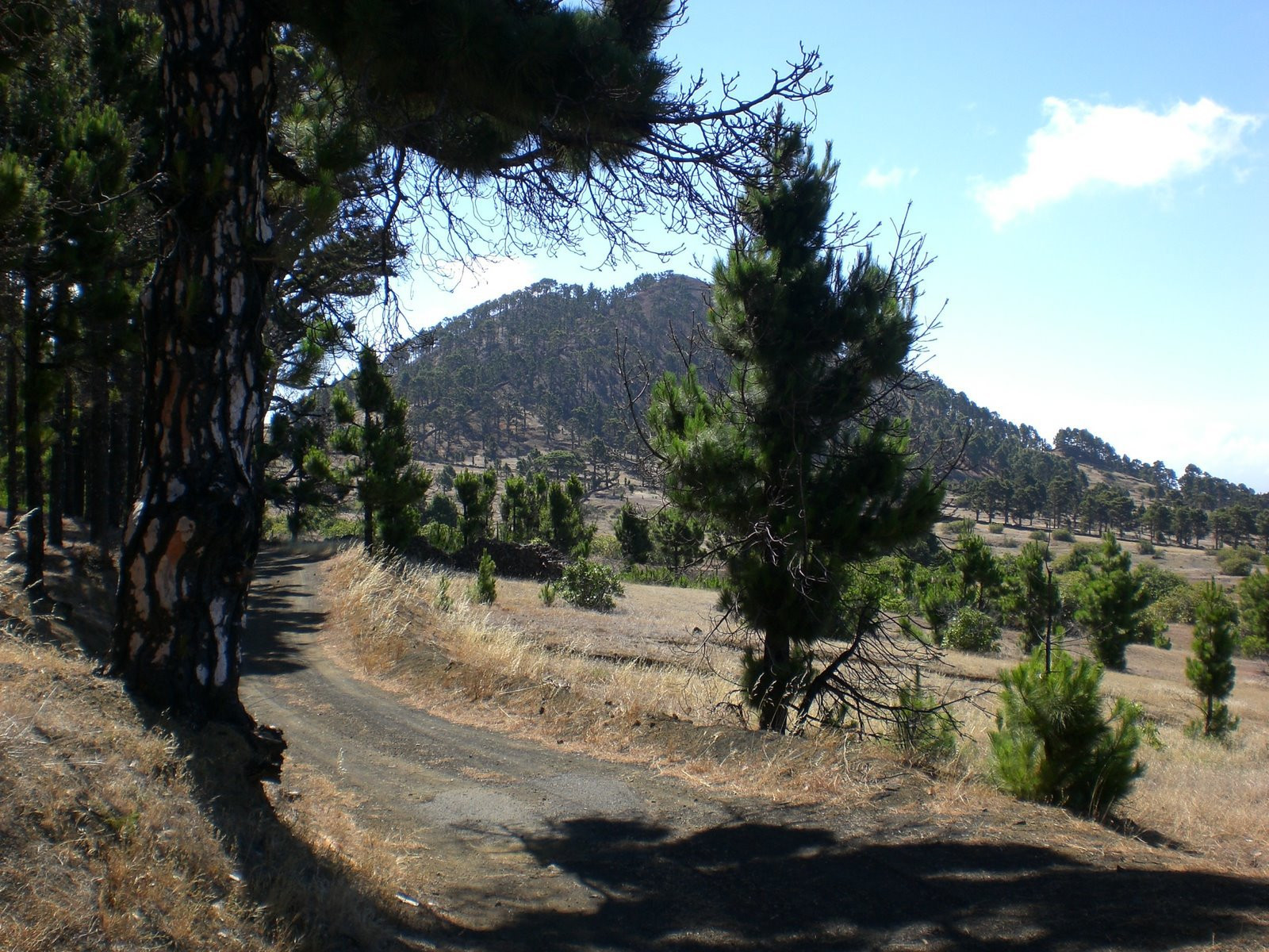 Эль-Йерро остров, Канарские острова, фото № 34689 – фотографии Канарских островов