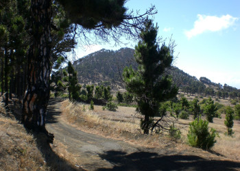 Эль-Йерро остров, Канарские острова, фото № 34689 – фотографии Канарских островов