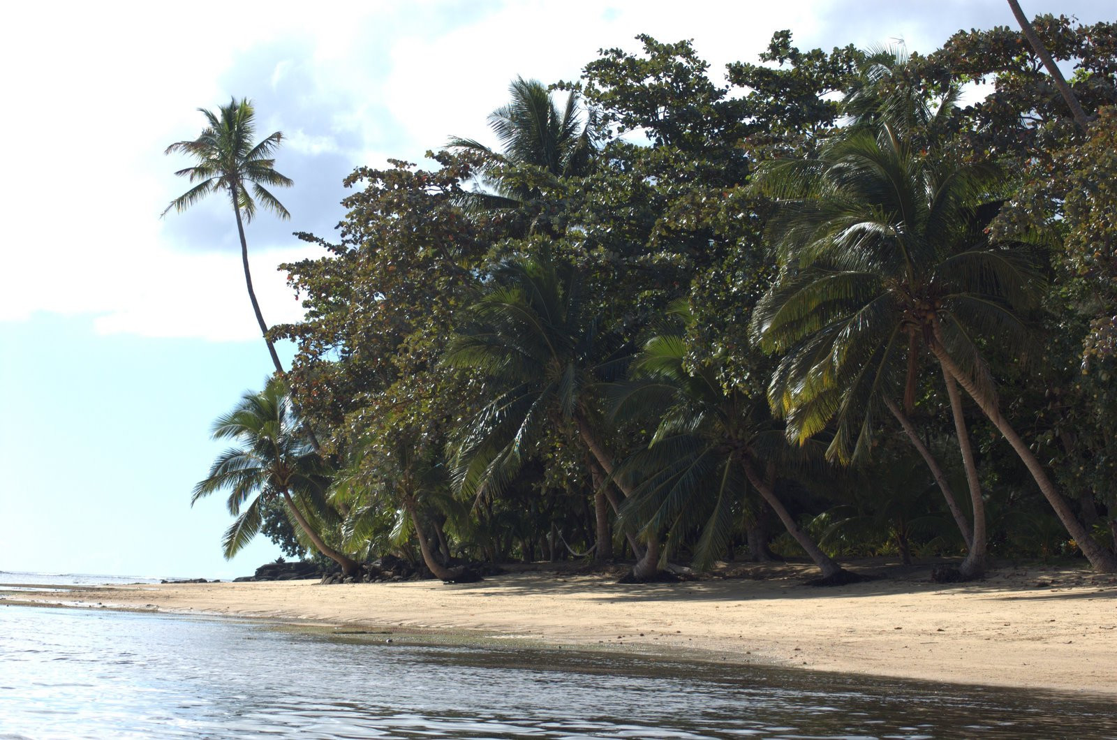 Матанги остров, Вануа Леву группа островов, Фиджи, фото № 49299 – фотографии Фиджи