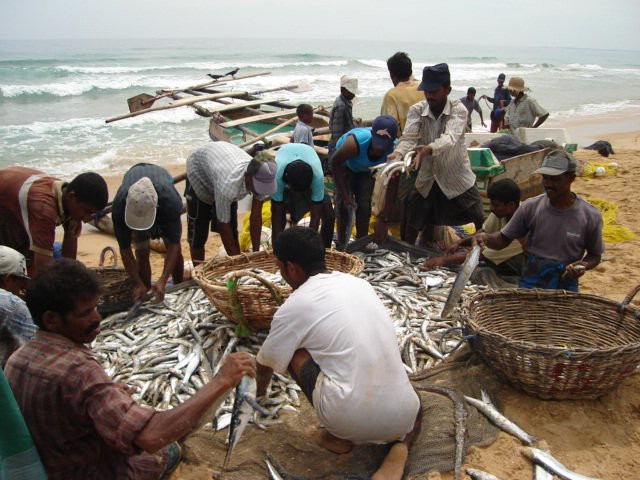 Баттикалоа, Шри-Ланка, фото № 50564 – фотографии Шри-Ланки