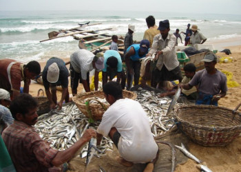 Баттикалоа, Шри-Ланка, фото № 50564 – фотографии Шри-Ланки