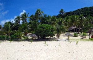 Матаманоа остров, Маманука группа островов, Фиджи, фото № 49013 – фотографии Фиджи