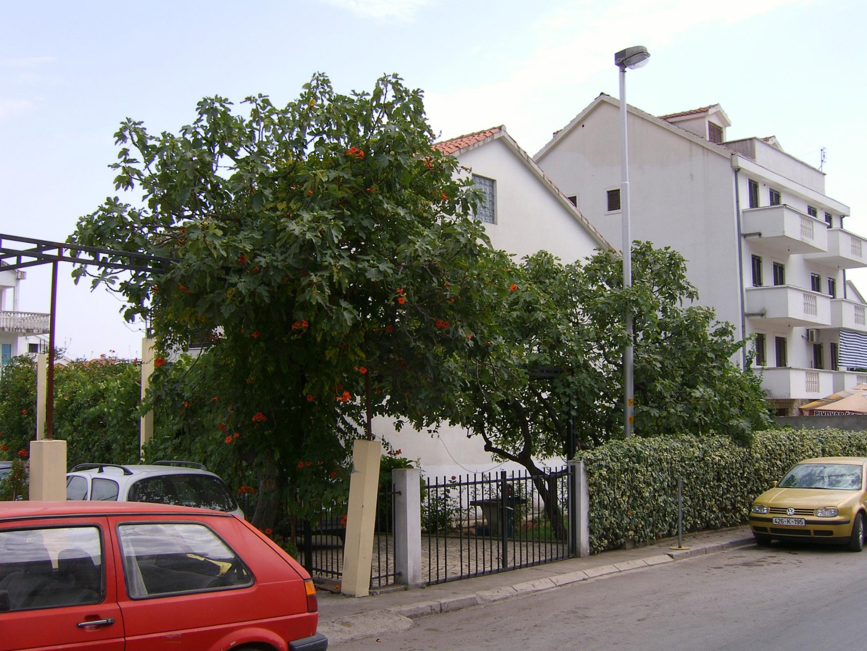 Дома в Будва, Черногория. Фото 10 – фотографии Черногории