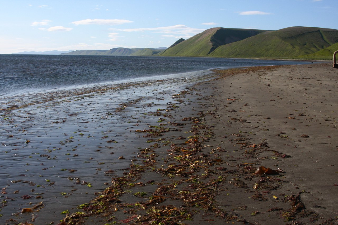 Командорские острова, Россия. Фото 9 – фотографии России