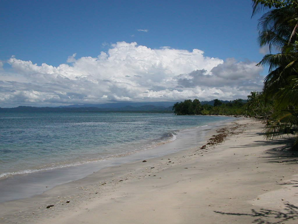 Кауита Национальный Парк, Лимон провинция, Коста-Рика, фото № 40069 – фотографии Коста-Рики