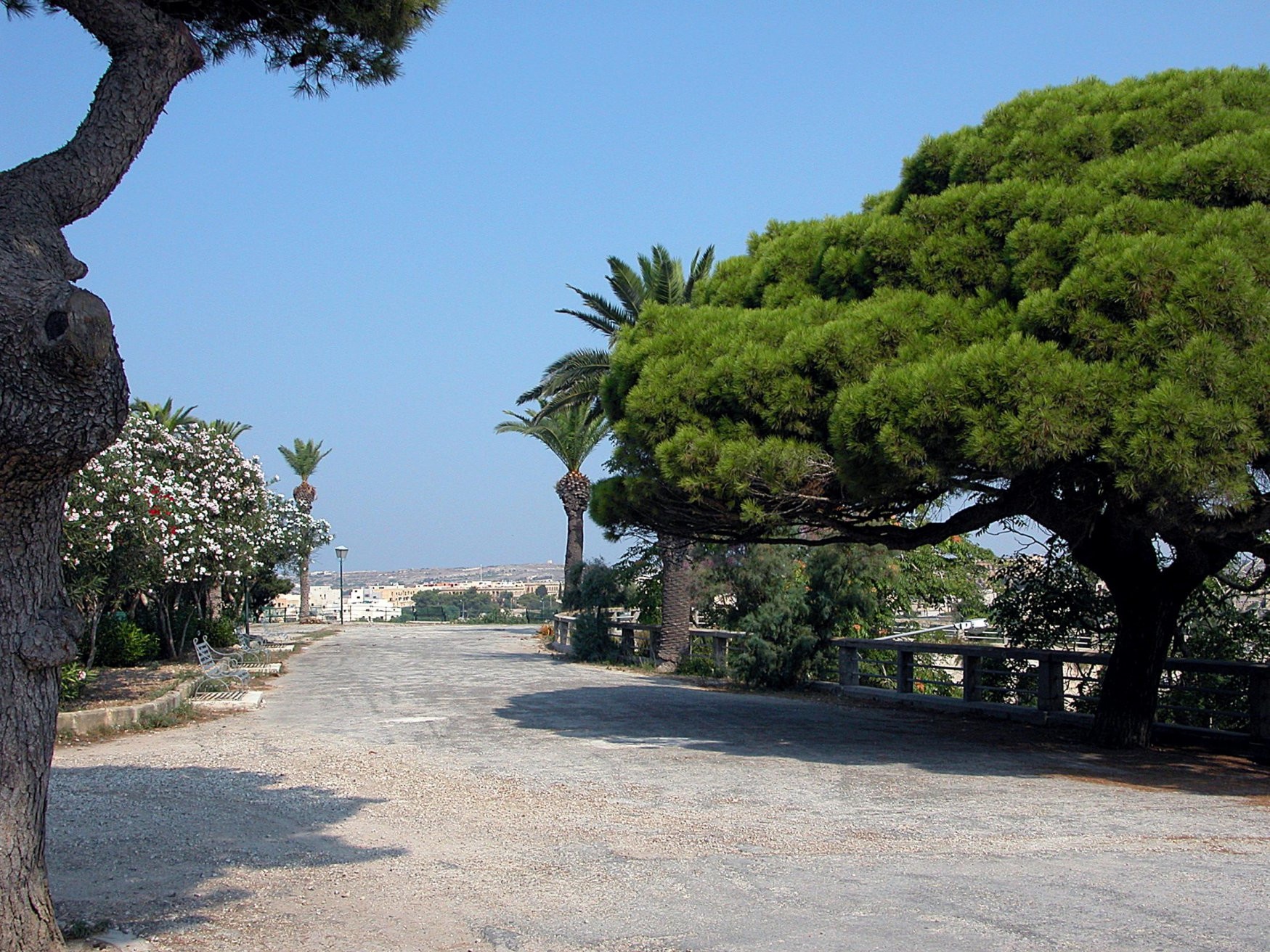 Мдина, Мальта остров, Мальта, фото № 42447 – фотографии Мальты