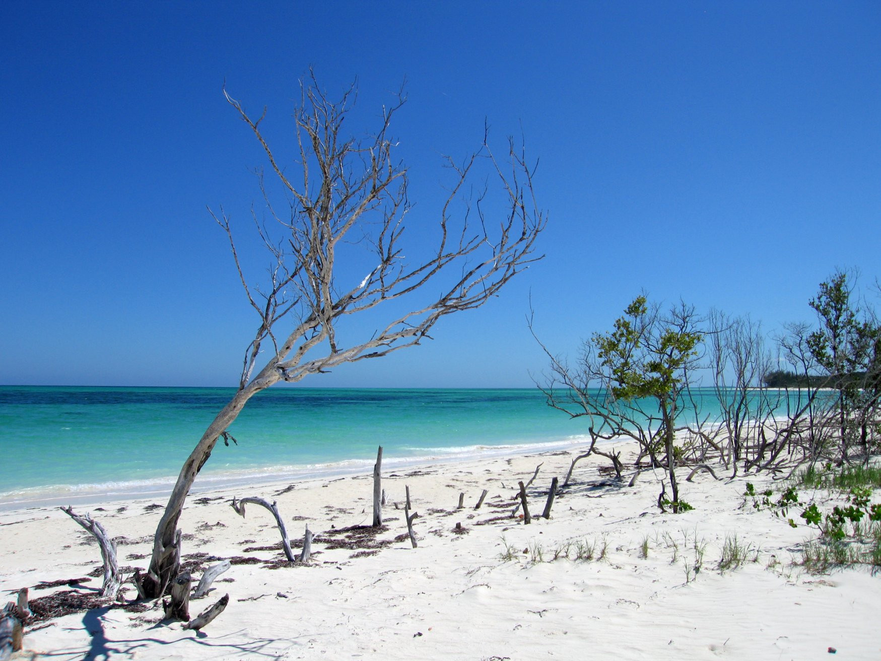Пляж в Пинар дель Рио провинция, Куба. Фото 12 – фотографии Кубы