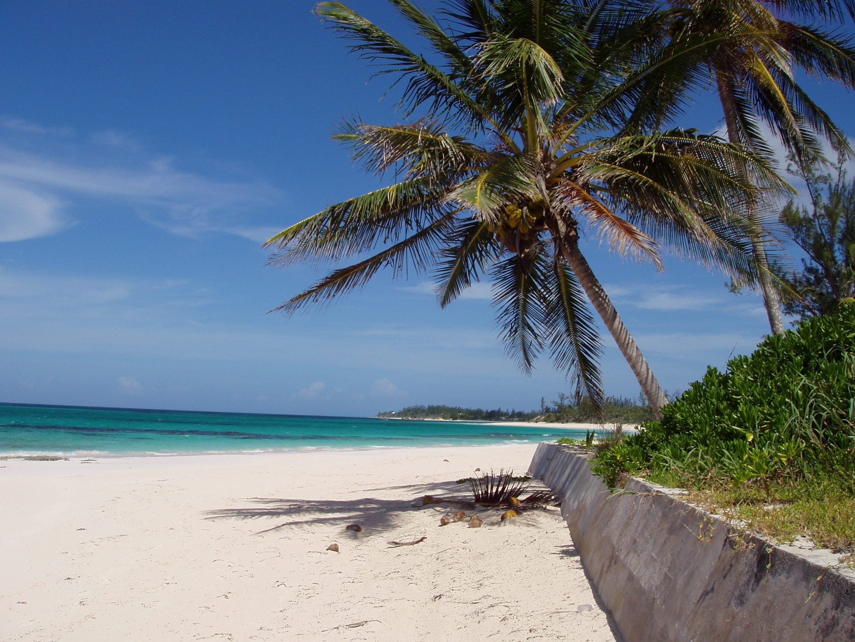 Экзотический пляж на острове Эльютера, Багамские острова. Фото 38 – фотографии Багамских островов