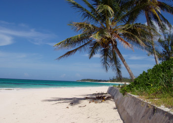 Экзотический пляж на острове Эльютера, Багамские острова. Фото 38 – фотографии Багамских островов