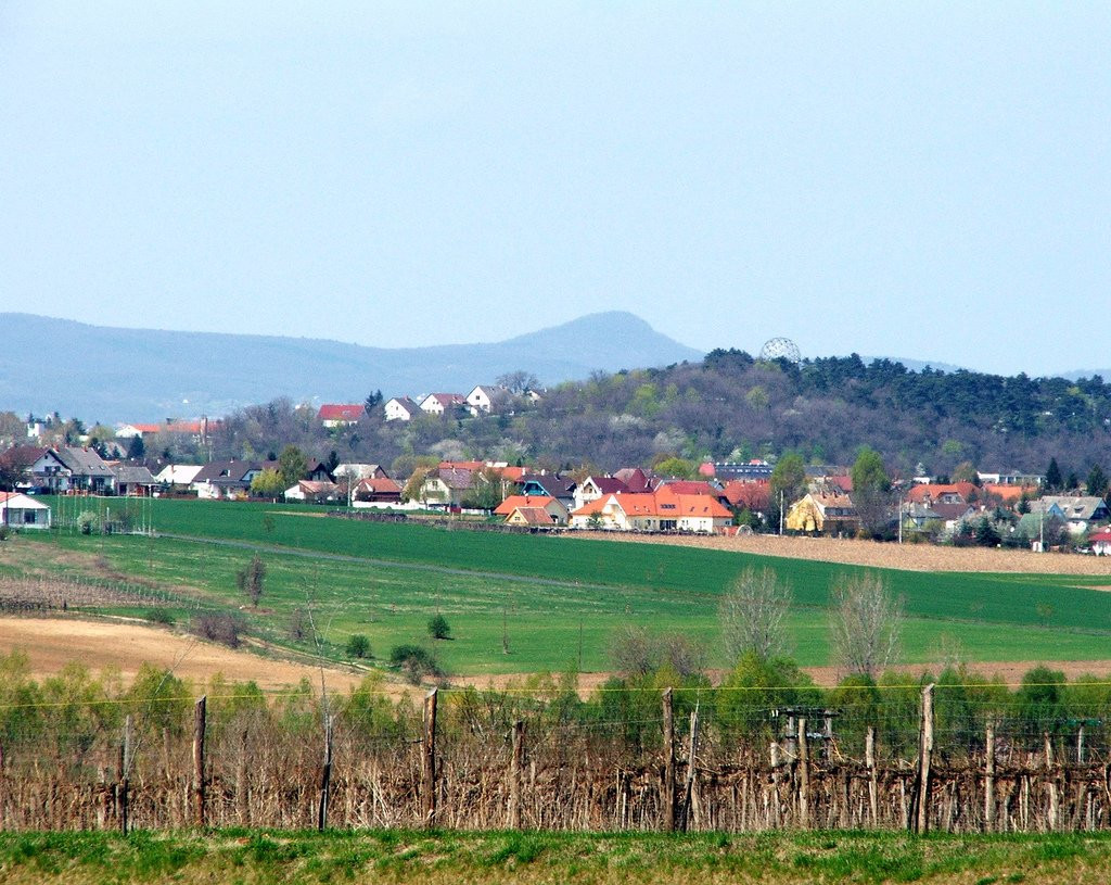 Балатонбоглар, Балатон озеро, Венгрия, фото № 69735 – фотографии Венгрии