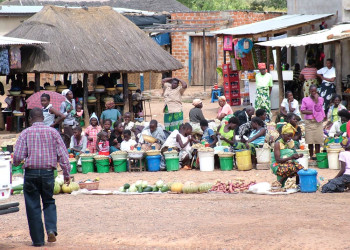 Замбия (Zambia). Фото 2 – фотографии Замбии